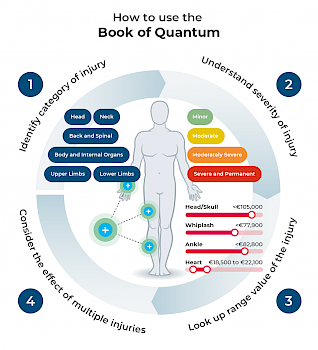 How to use The Book of Quantum