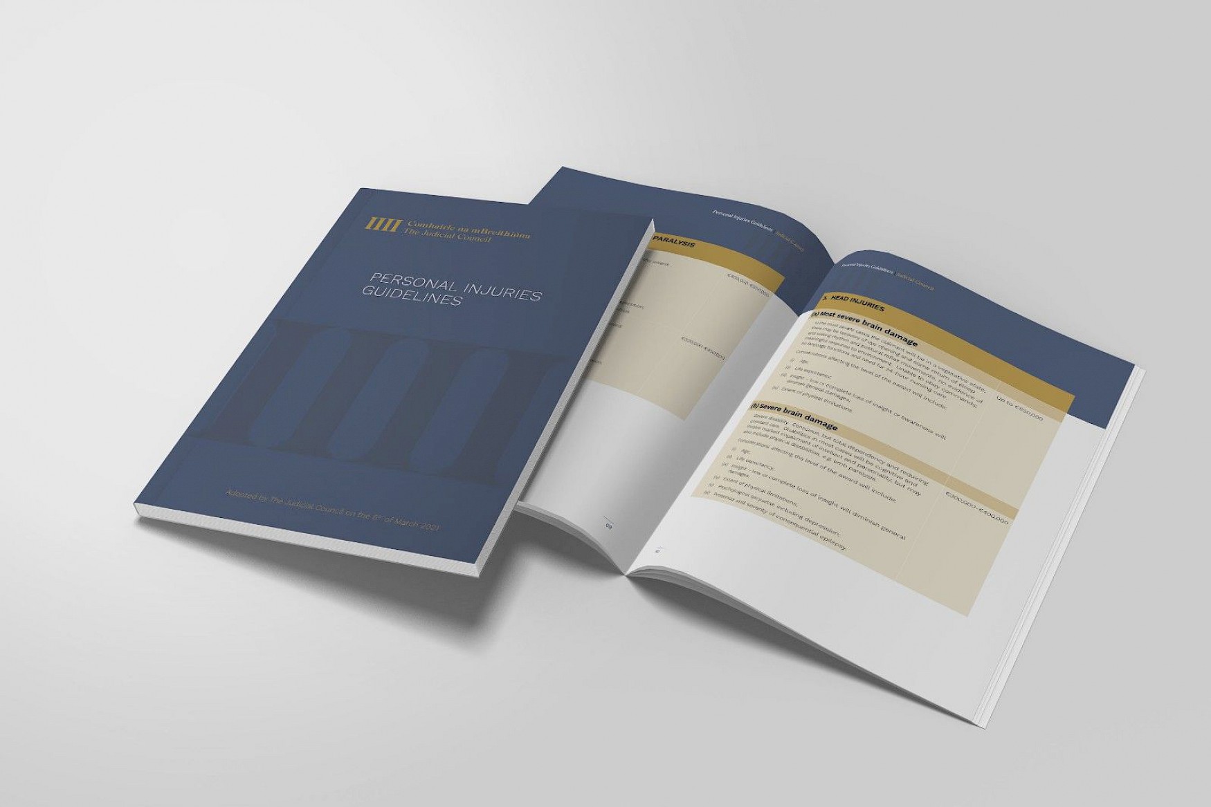 Personal Injury Guidelines book